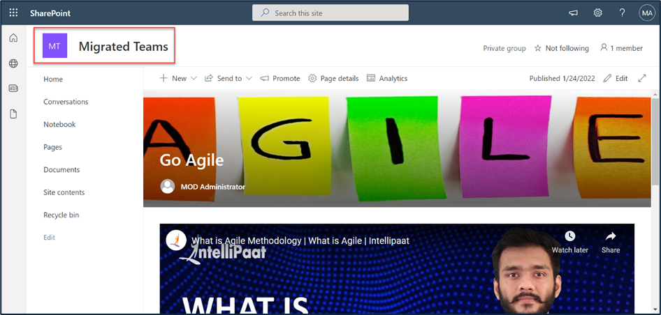 Page content view in the target environment